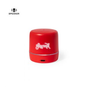 21015 Altavoz Kucher