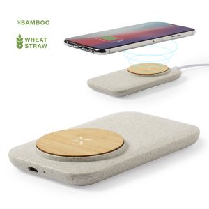 6536 Cargador Claudix